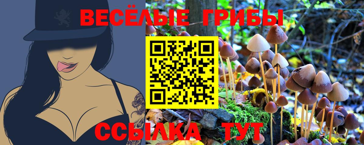 где продают   Галлюциногенные грибы Psilocybine cubensis  Вход с VPN  Щёлково  Галлюциногенные грибы GOLDEN TEACHER 